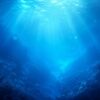 D@NEE Presents Diving In The Blue